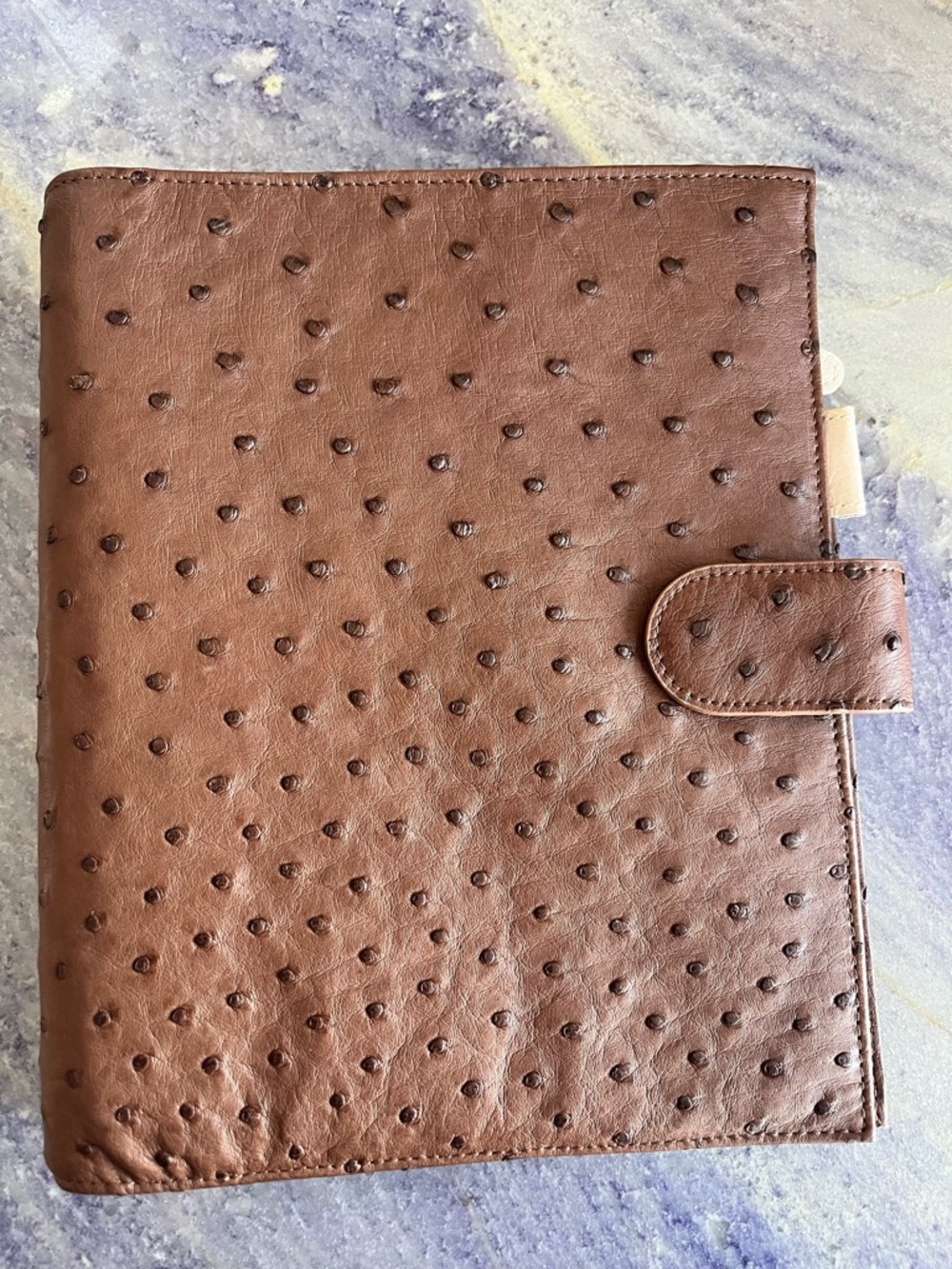 New A5 Ring Planner Cover Agenda Organizer Real Ostrich Chestnut Cream Leather